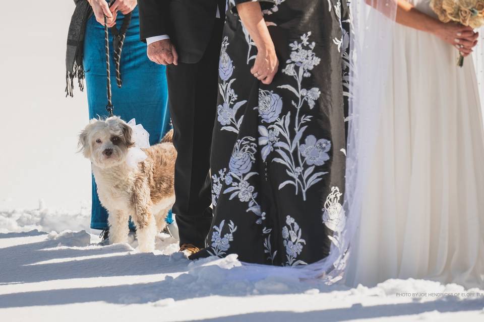 Everybody loves a wedding!