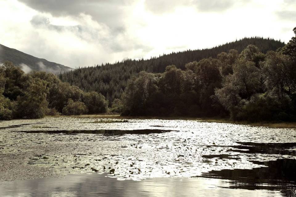 The Loch - Summer