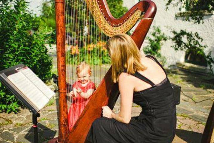 Harp Fusion