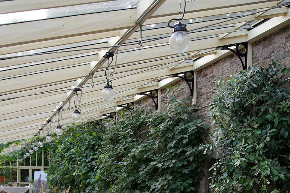Garden Wedding Set Up