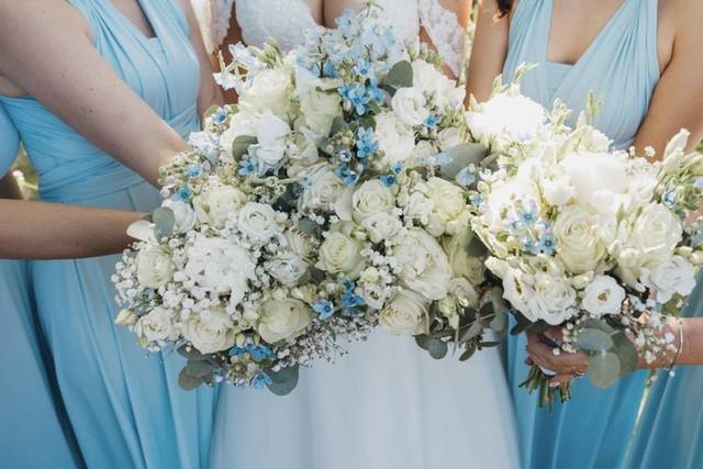 Saffrons florals