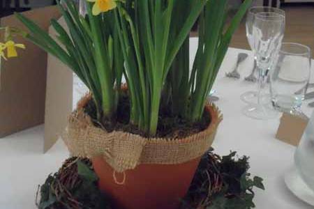 Daffodil table centre