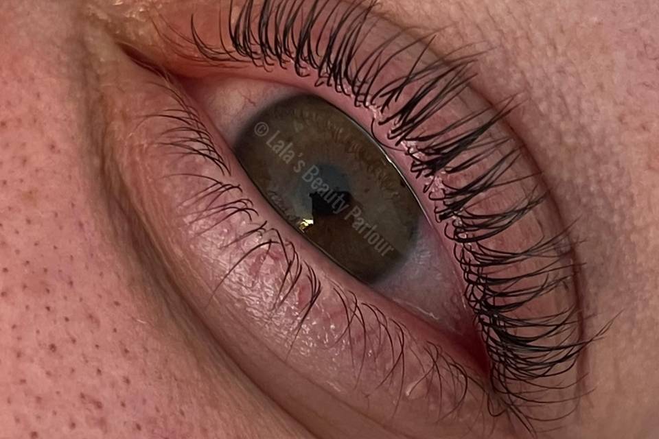 Lvl lash lift and tint