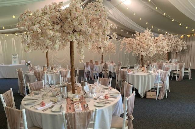 Blossom Trees- Marquee