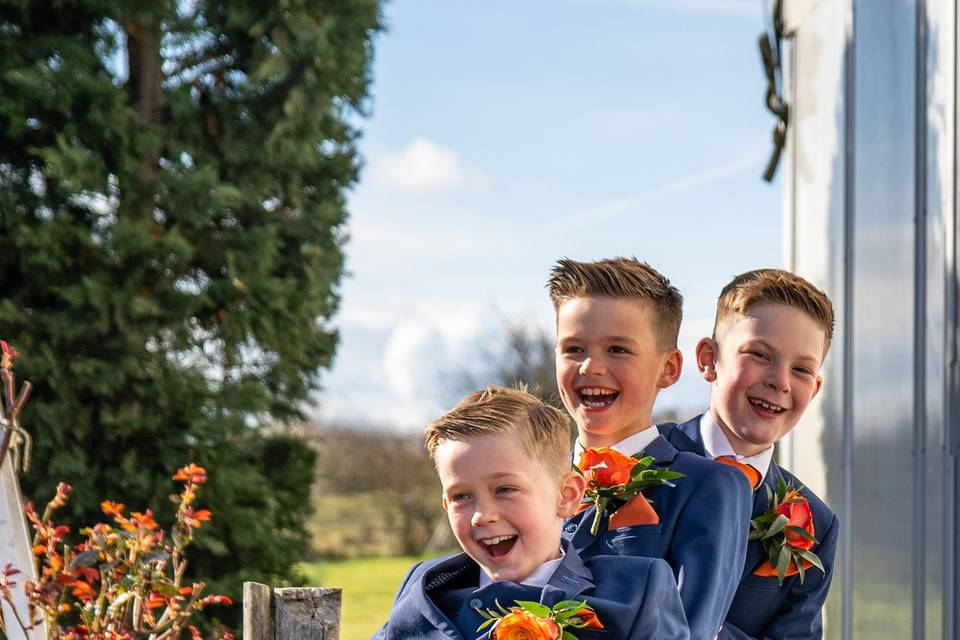 Wedding