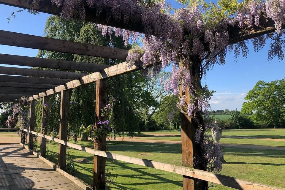 Pergola Adorned in Wisteria