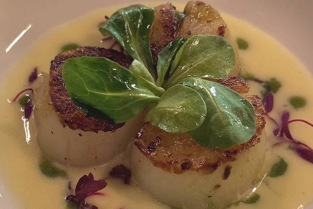 Mouthwatering scallops