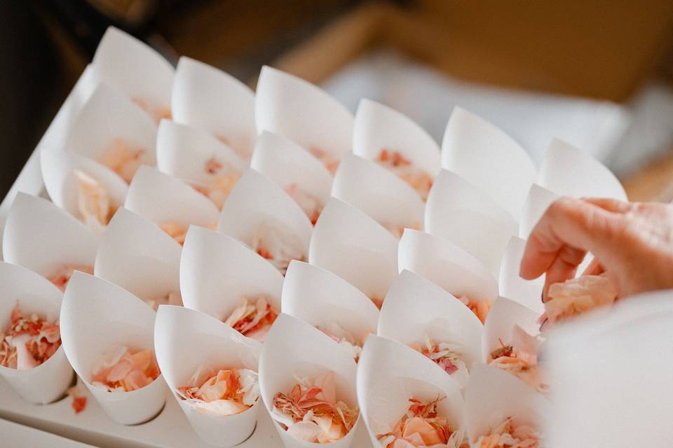 Nonsuch Mansion Wedding