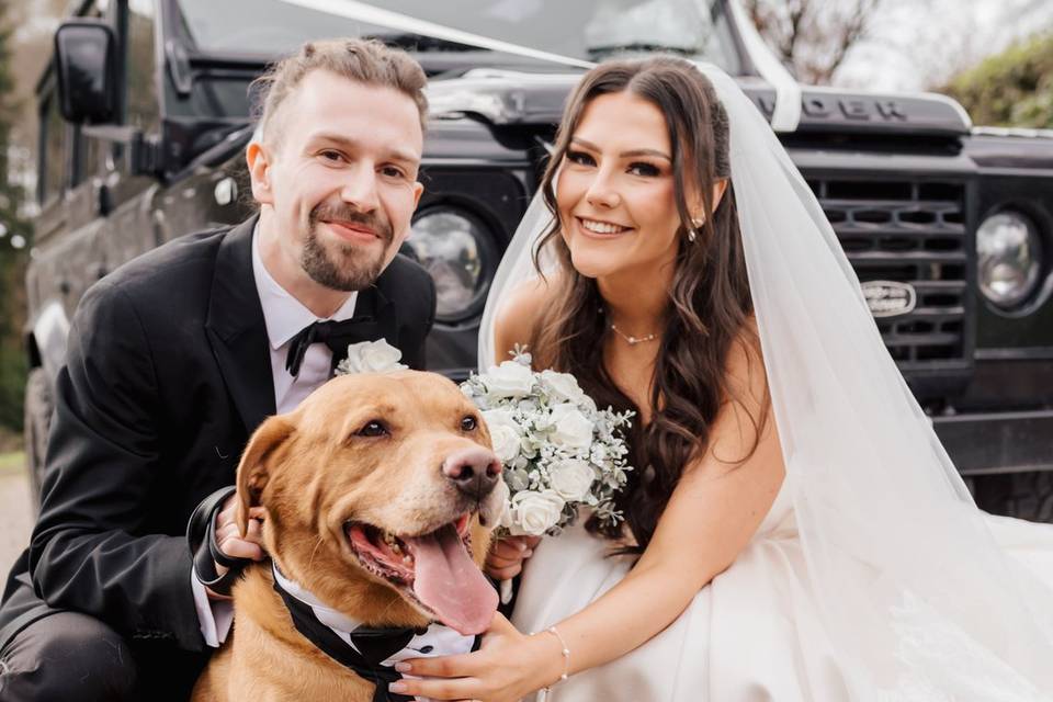 Dog at Wedding