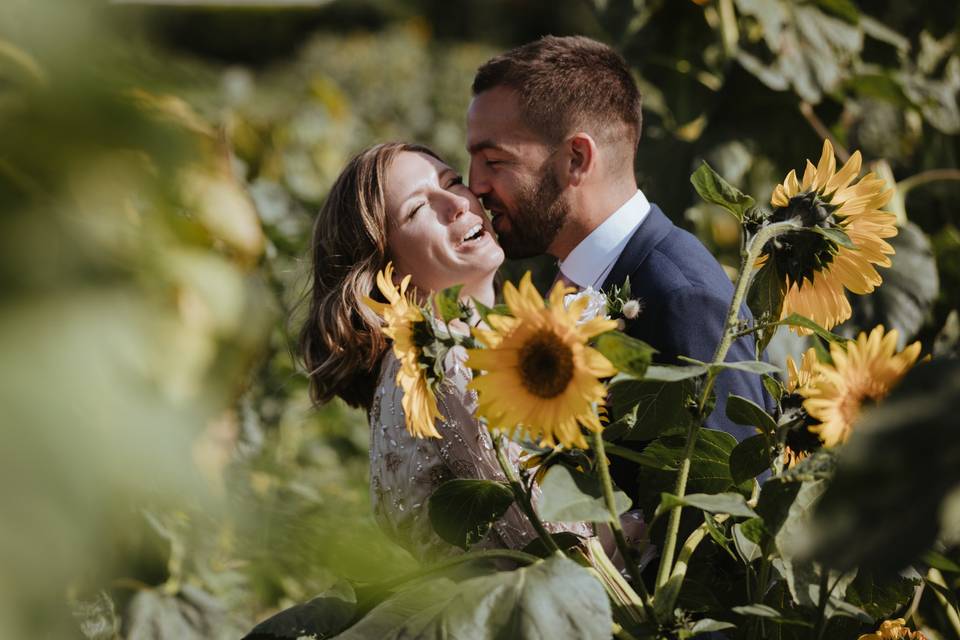 Sunflower joy