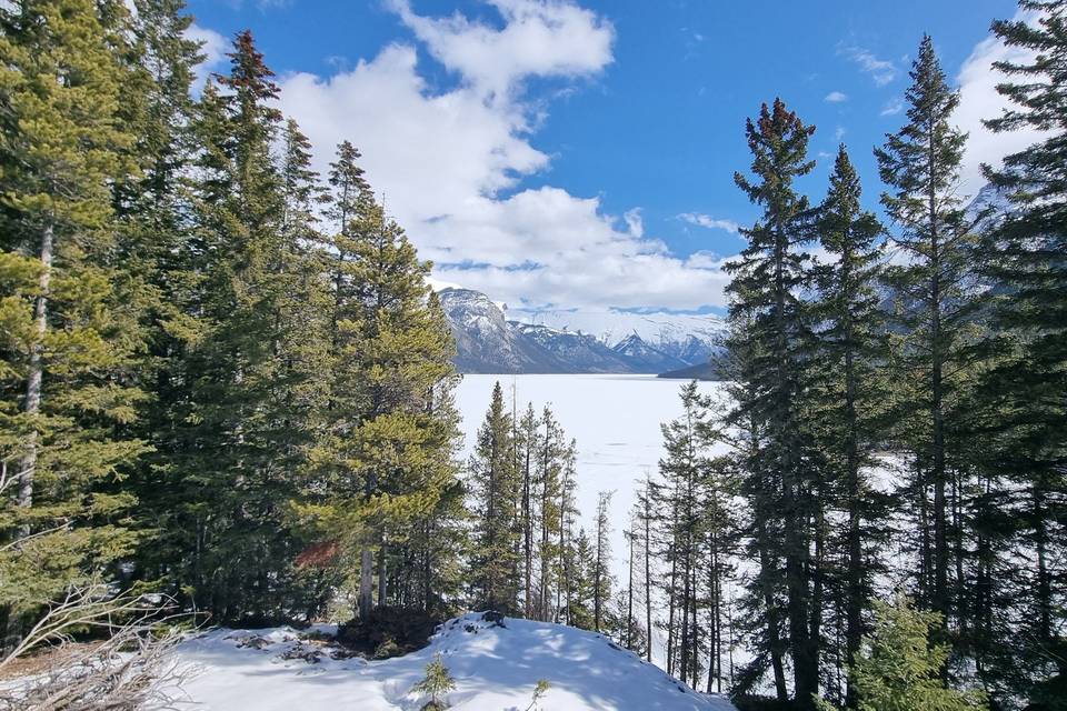 Snowscapes of canada