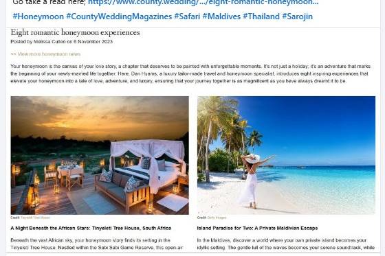 My Honeymoon Article