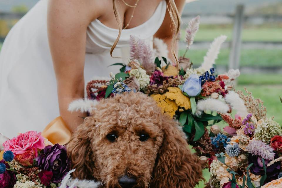 Dog in Flowers