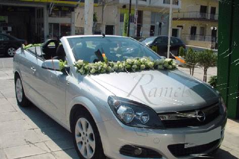 Bridal Car Decor