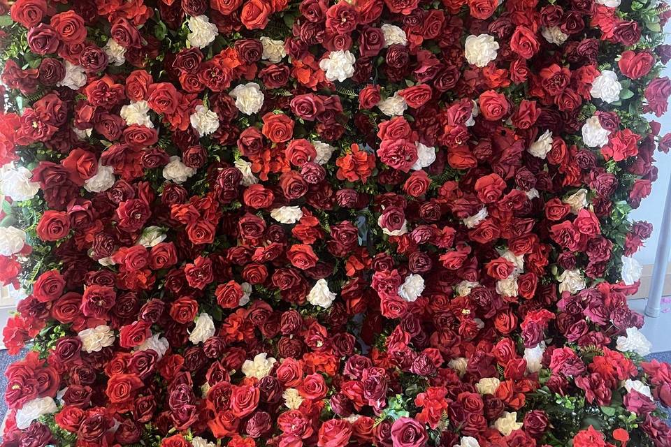 Rose flower wall