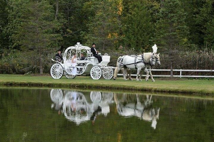 HORSE AND CARRIAGE HIRE