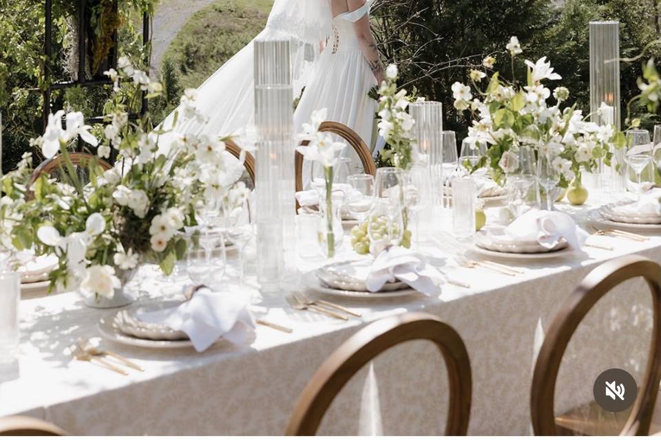 Perfection in white !