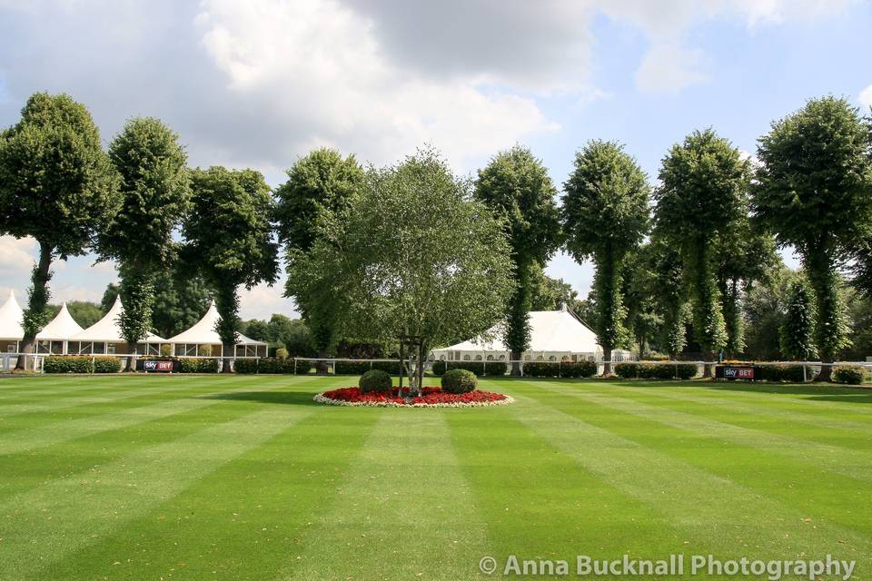 Royal Windsor Racecourse 30