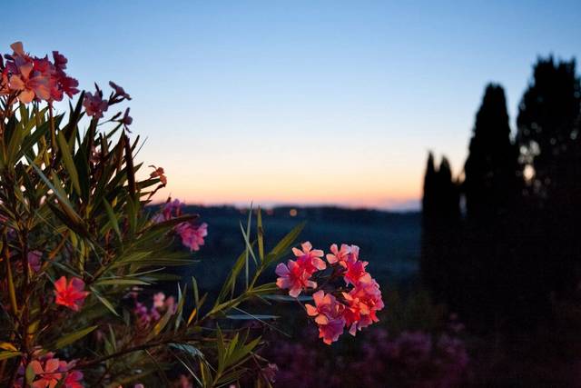View of the panorama
