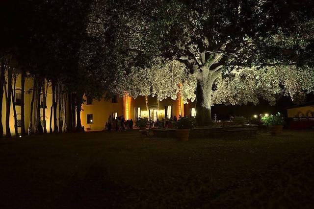 Night view of the mansion