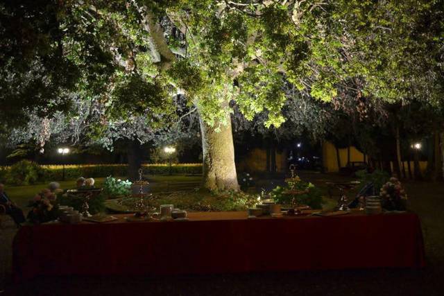 Night view of the garden