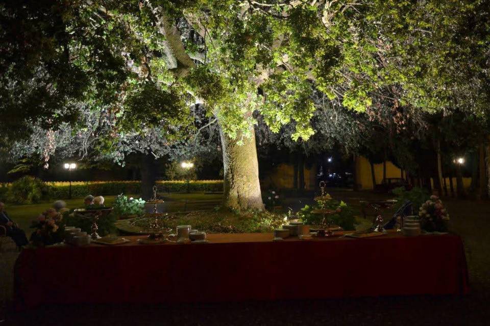 Night view of the garden