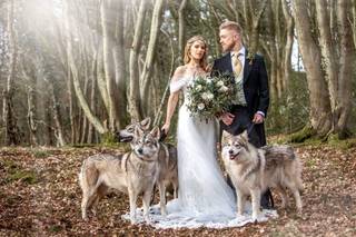 watermill wolves - wedding wolves