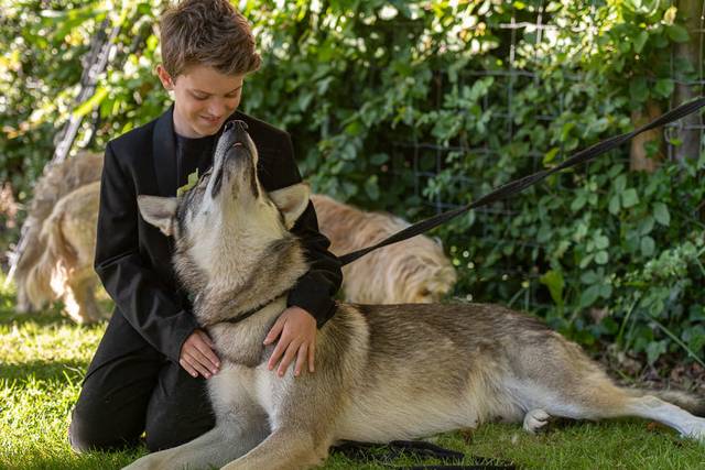 Watermill wolves guess greet a