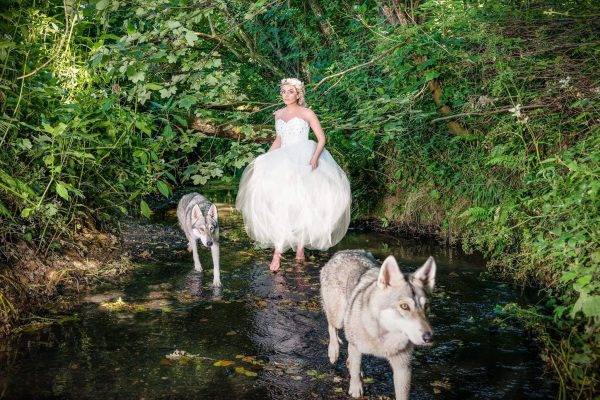watermill wolves - wedding wolves