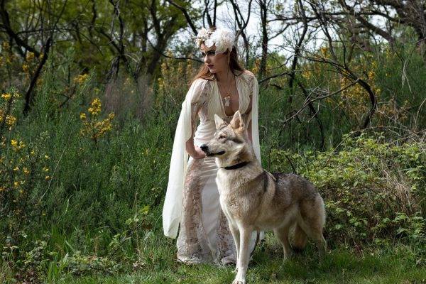 watermill wolves - wedding wolves