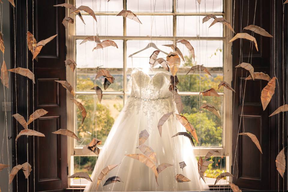 Elegant dress shot