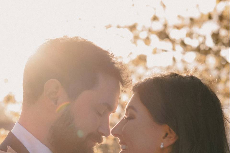 Close up in golden light