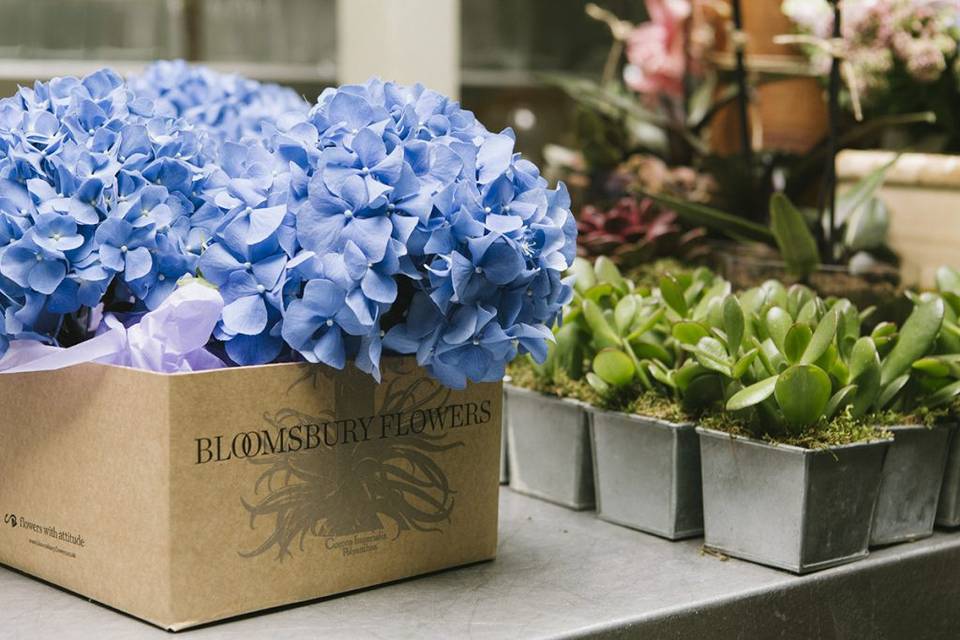 Bloomsbury Flowers store