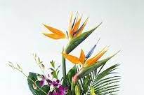 Tropical bar arrangement