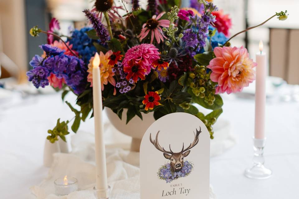 Illustrated Table Number