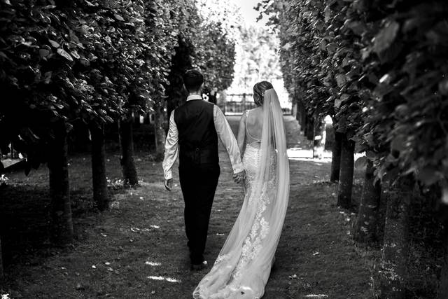 Walking between the vines