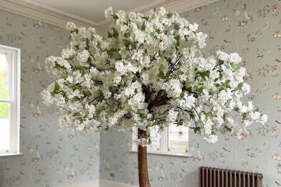 Ivory blossom tree