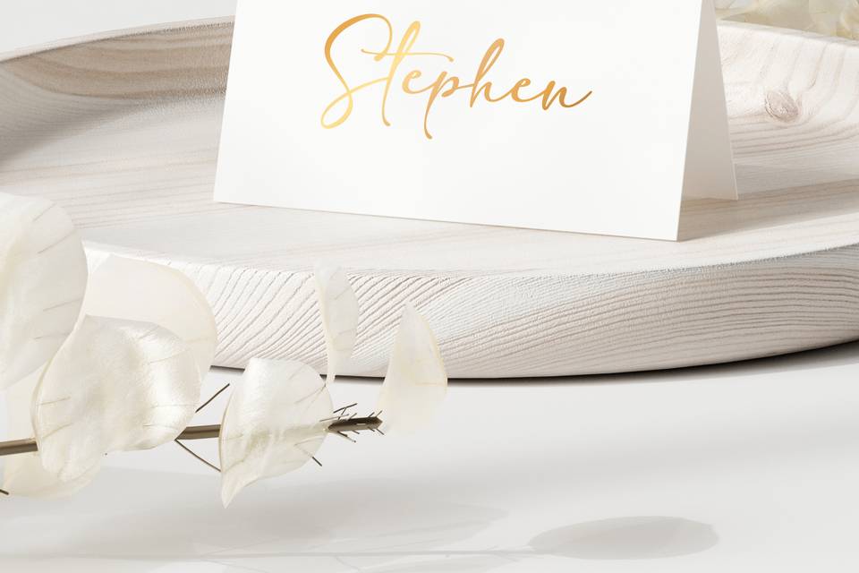 Place Setting Names