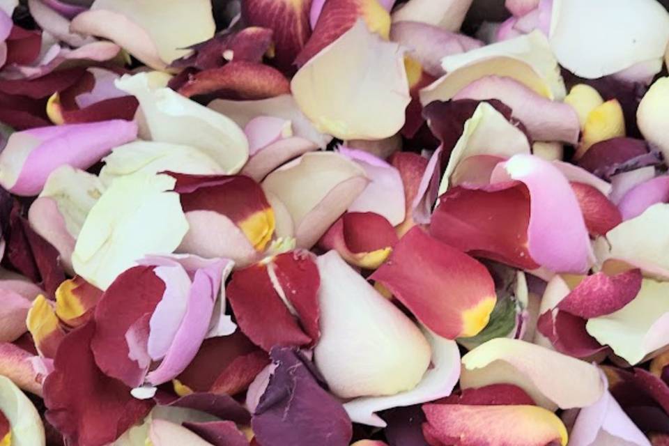 B-Grade Rose Petals
