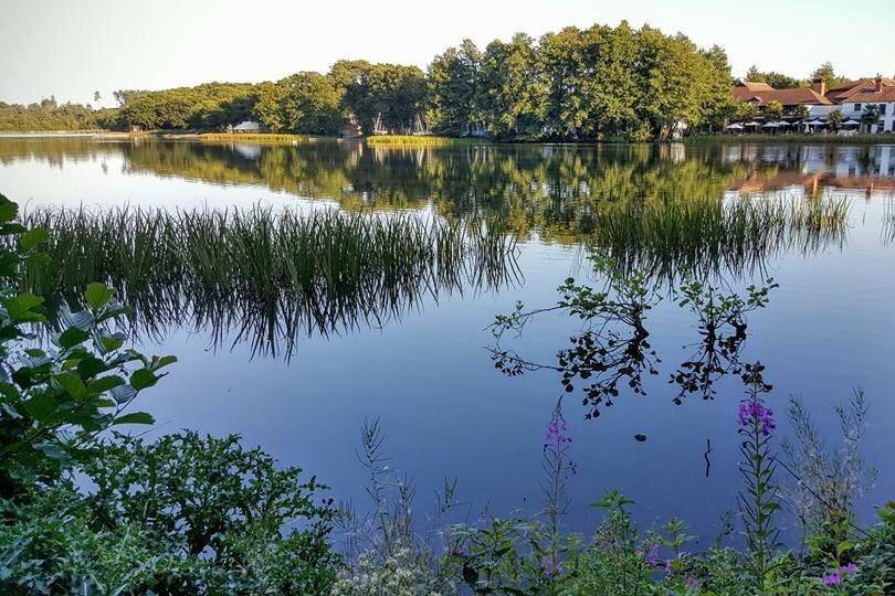 Frensham Pond Country Hotel an