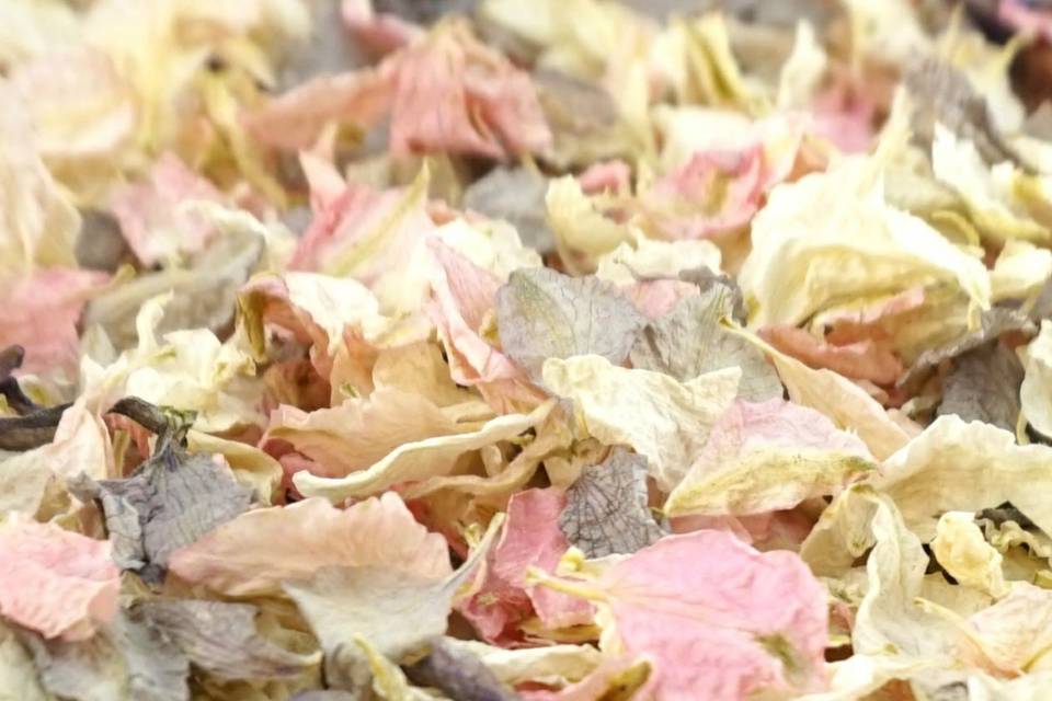 Rustic Petal Mix