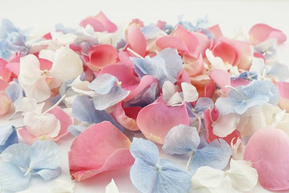 Summer Fete Petal Mix