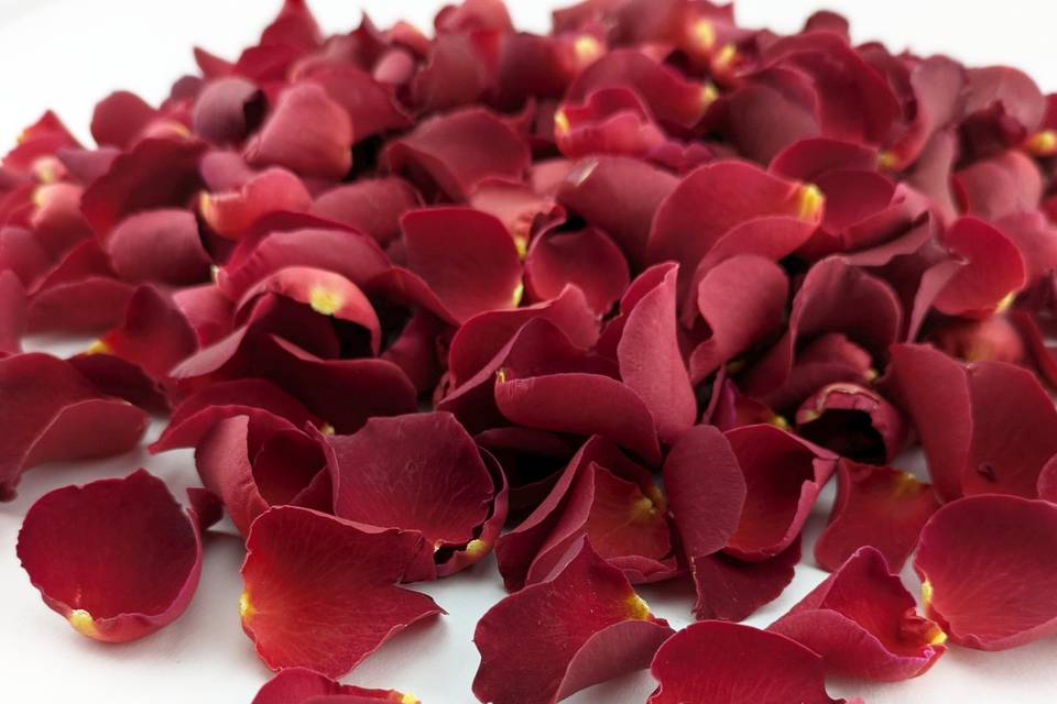 Sweet Cherry Rose Petals