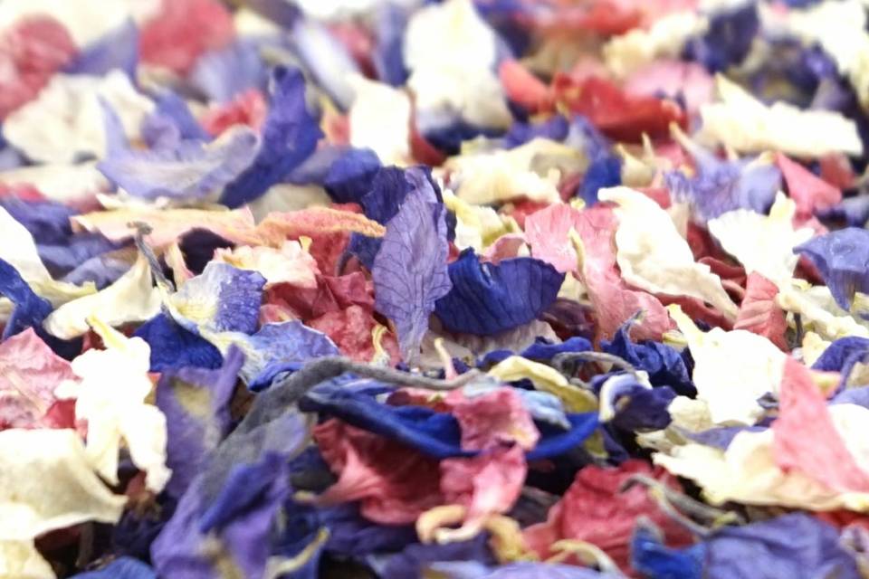 Very Berry Petal Mix