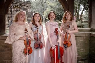 The Fern String Quartet