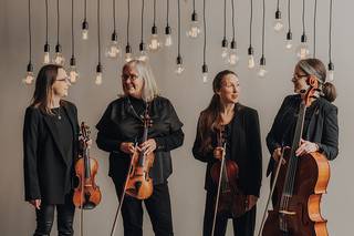 The Fern String Quartet