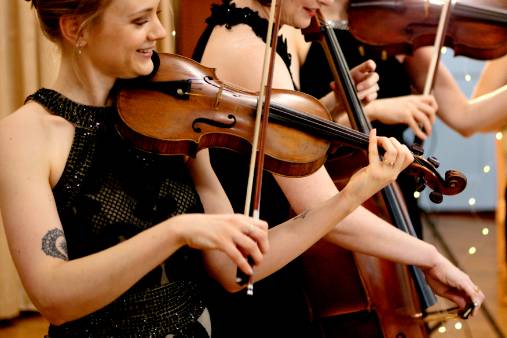 The Fern String Quartet