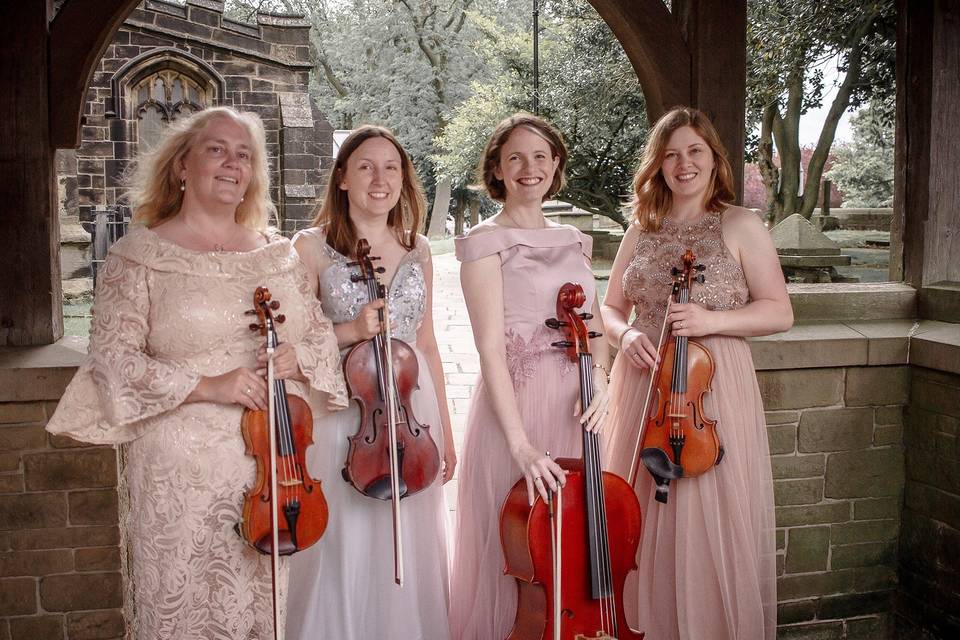 The Fern String Quartet