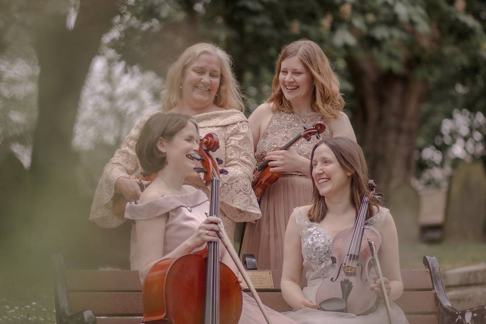 The Fern String Quartet