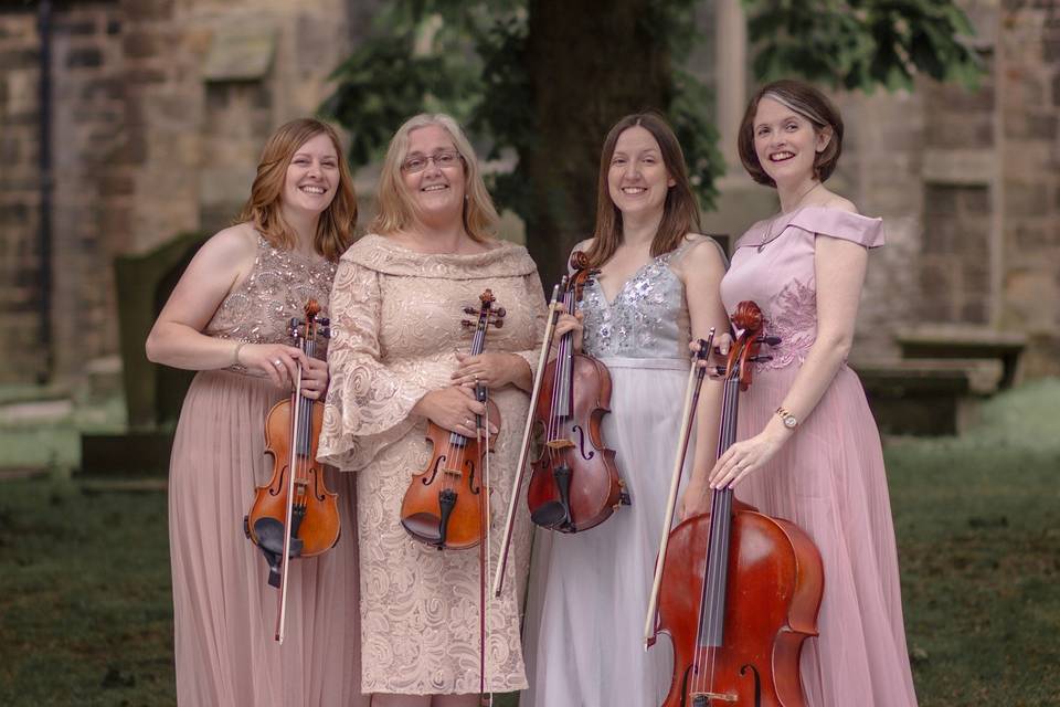 The Fern Quartet